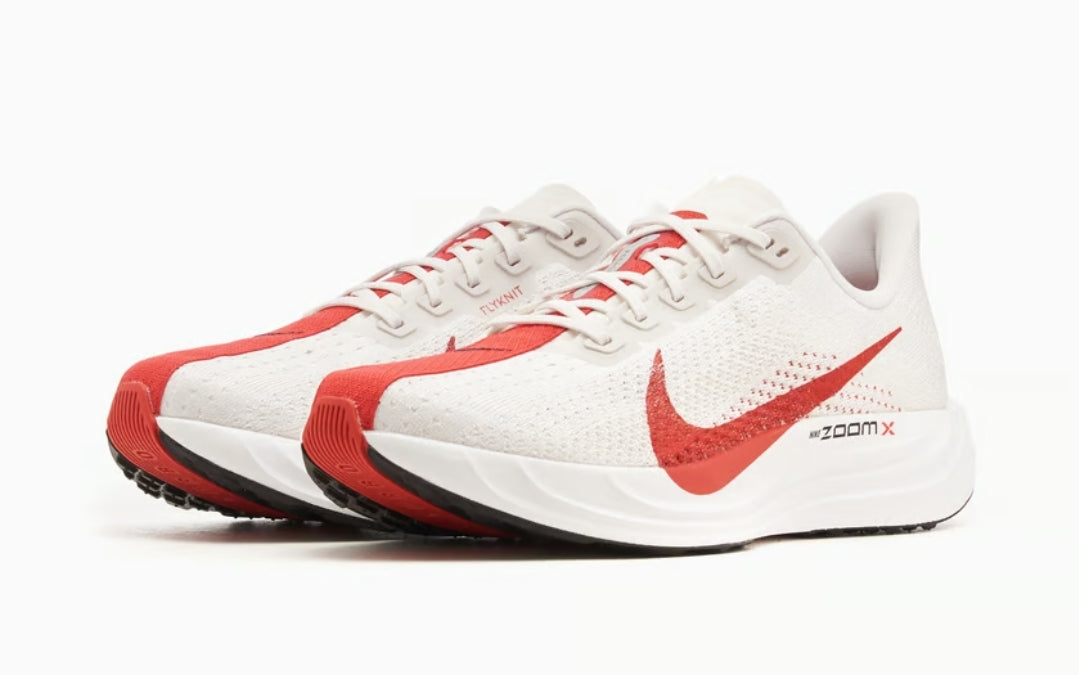 Nike Pegasus Plus