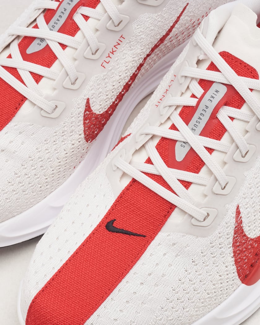 Nike Pegasus Plus
