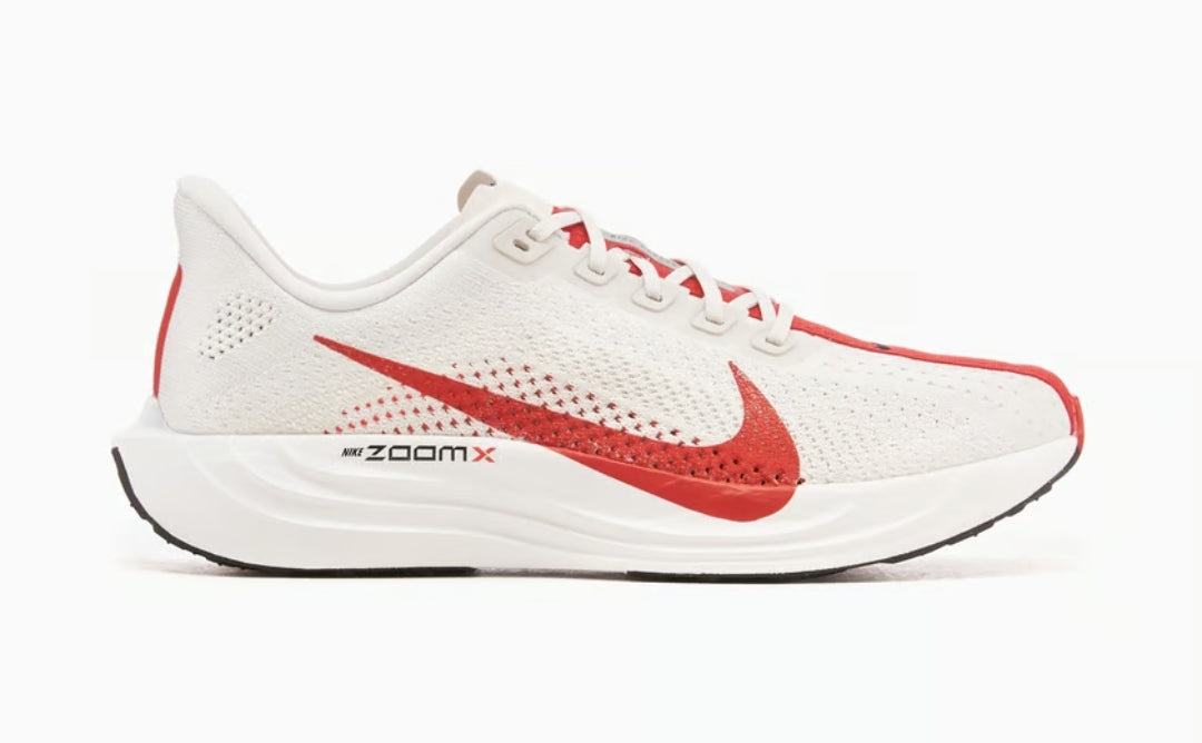 Nike Pegasus Plus