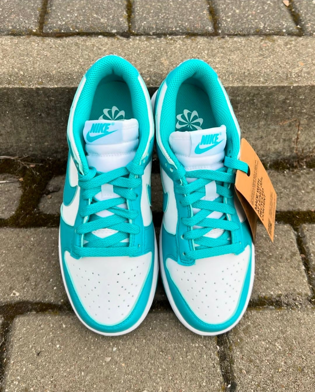 Nike Dunk Low Next Nature "Dusty Cactus"