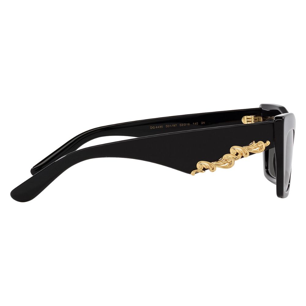 Dolce & Gabbana DG4435 501/87