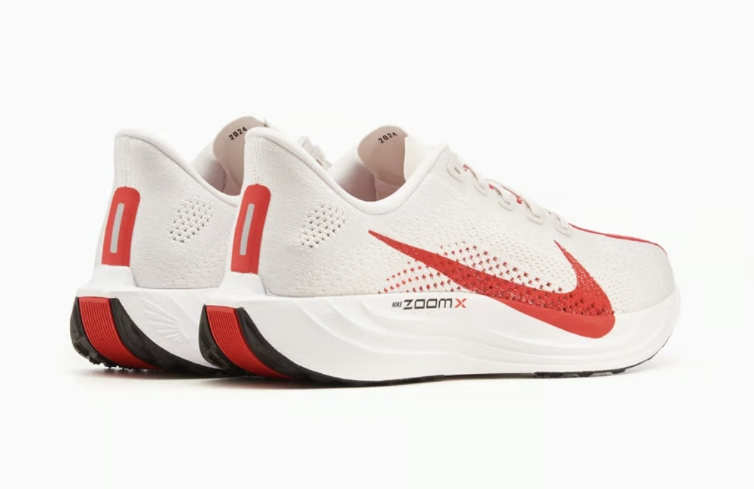Nike Pegasus Plus