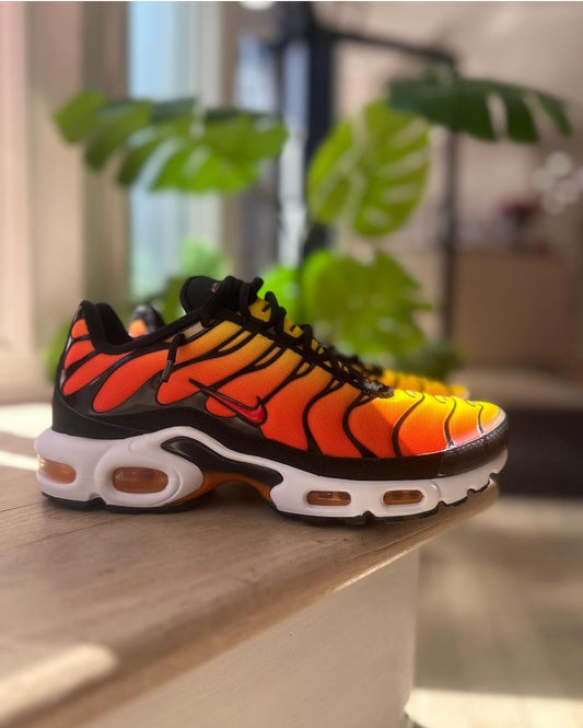 Nike Air Max Plus TN "Sunset"