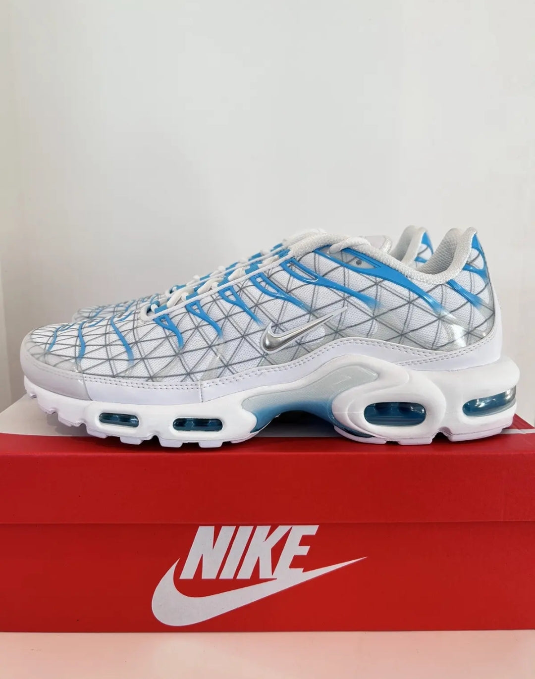 Nike Air Max Plus "Marseille"