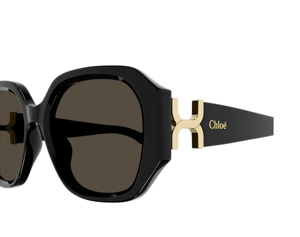 Chloé CH0236S 001