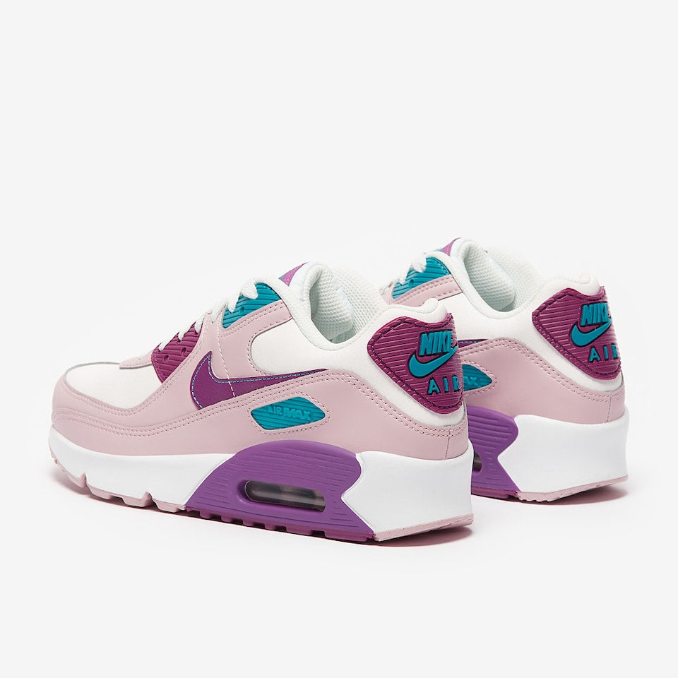 Nike Air Max 90 "Viotech"