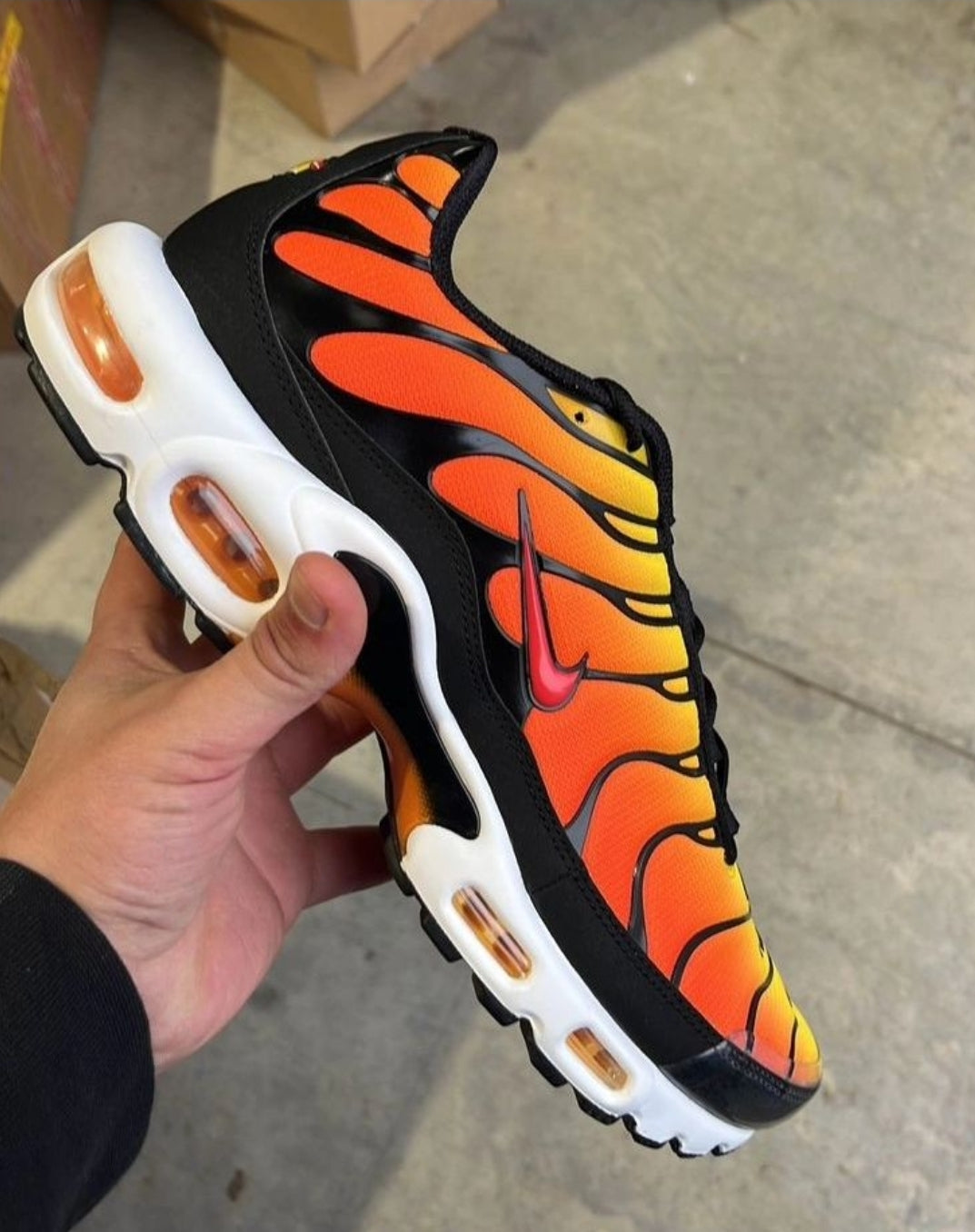 Nike Air Max Plus TN "Sunset"