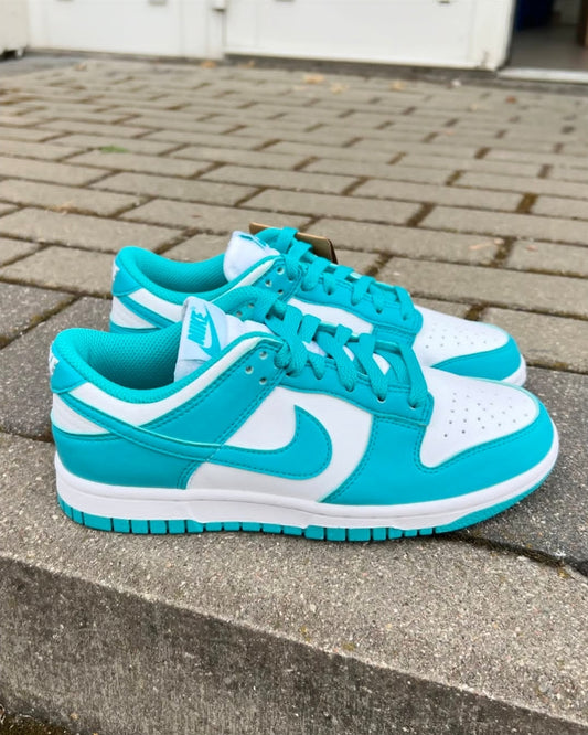 Nike Dunk Low Next Nature "Dusty Cactus"