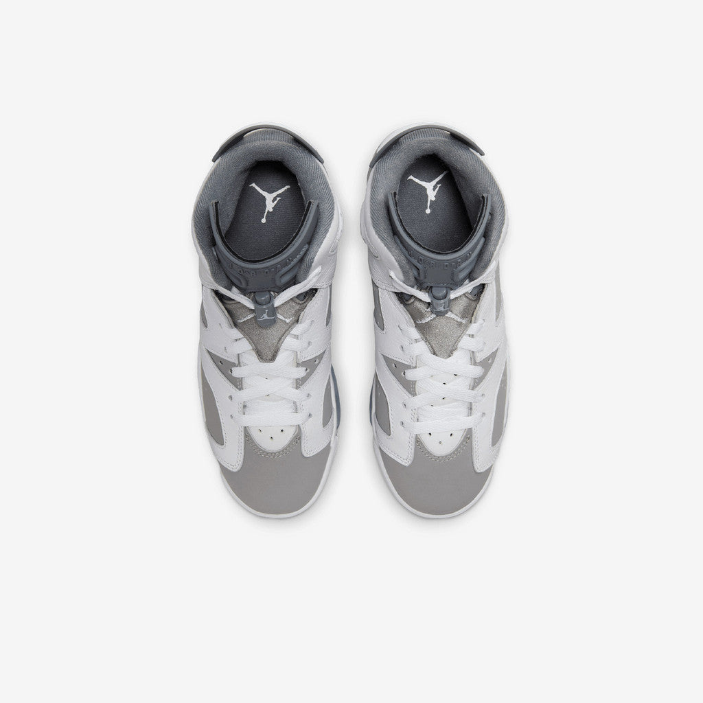 Air Jordan 6 "Cool Grey"