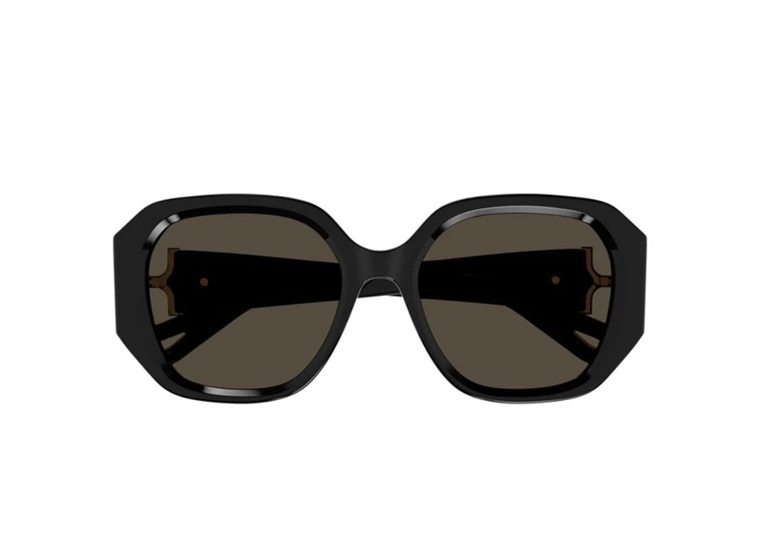 Chloé CH0236S 001