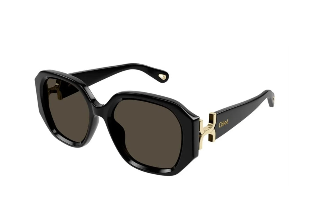 Chloé CH0236S 001