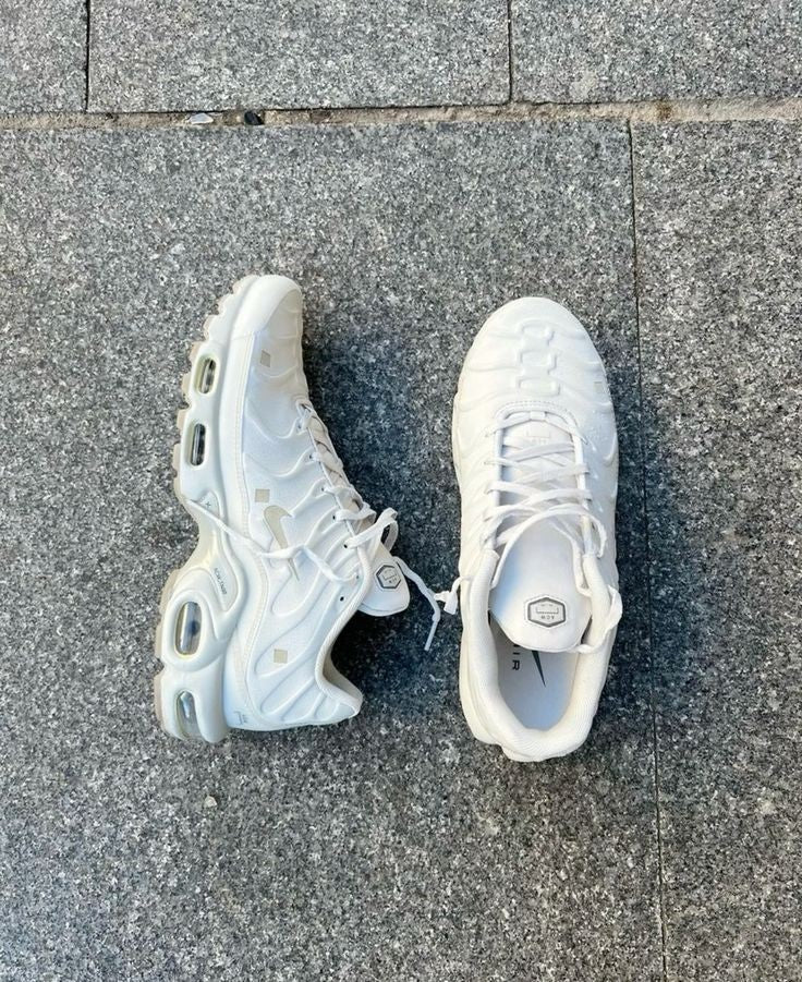 Nike Air Max Plus A-COLD-WALL Platinum Tint