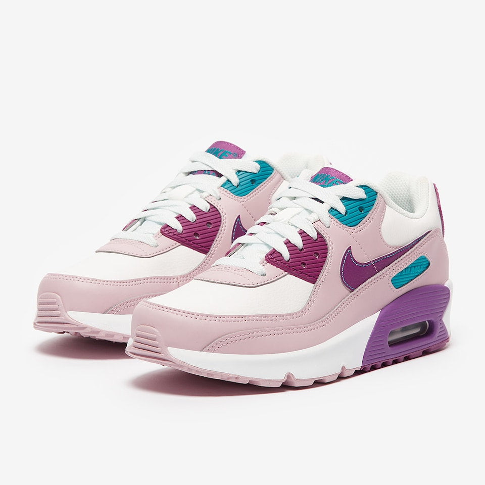 Nike Air Max 90 "Viotech"