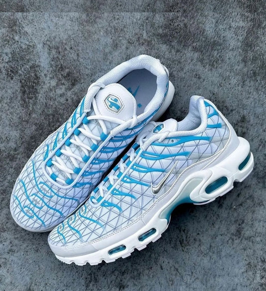 Nike Air Max Plus "Marseille"