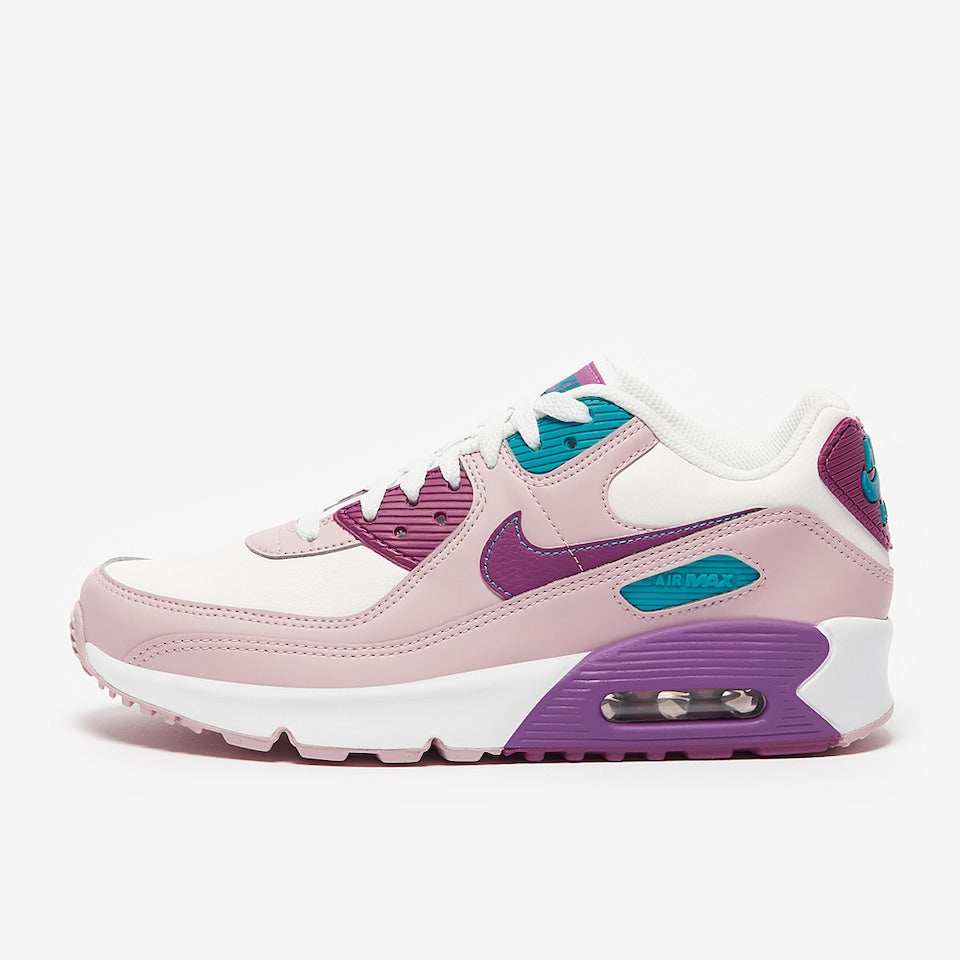 Nike Air Max 90 "Viotech"